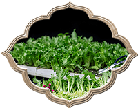 玖泰高柔性耐油電纜可滿足環(huán)境要求